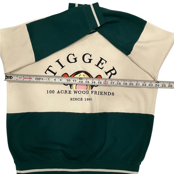 Disney Tigger 100 Acre Wood Friends Colorblock Sweatshirt Green Cream Small - Picture 6 of 6